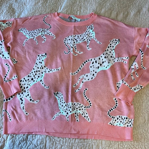LOFT Sweaters - LOFT Pink Leopard Print Sweater